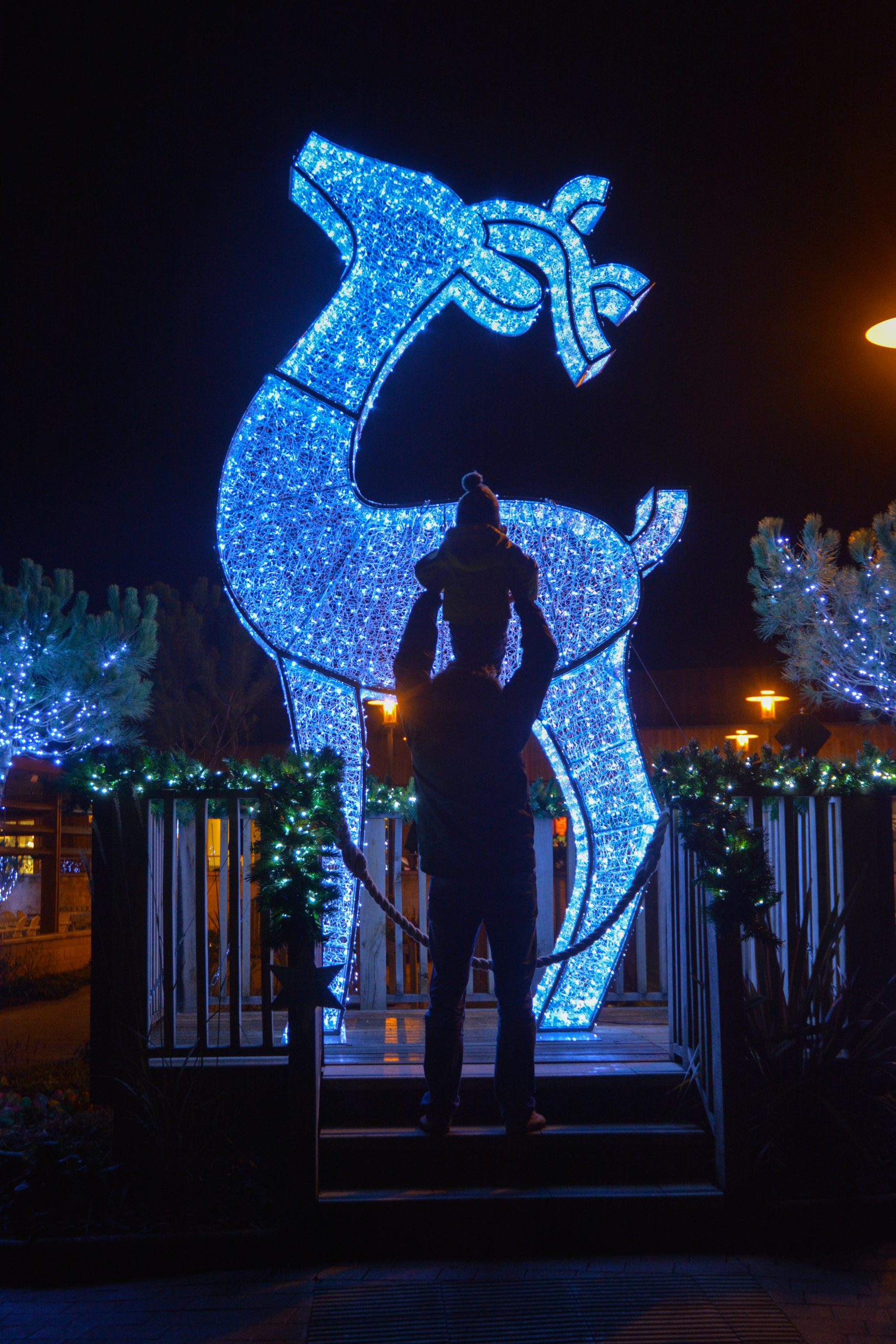 Center Parcs - Springfield Decorations and Display